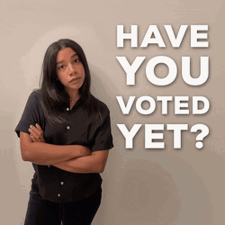Election Day Have You Voted Yet GIF
