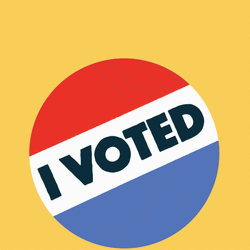 Election Day I Voted Blue White Red Background GIF