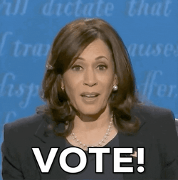 Election Day Kamala Harris Says Vote GIF