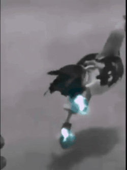 Electrifying Chicken Run GIF