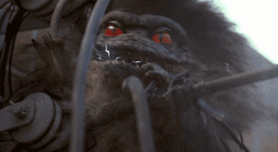  Electrocuted Critters Weakened GIF