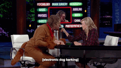 Electronic Dog Barking Sound GIF