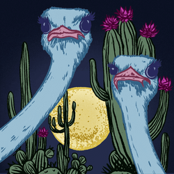 Elegant Ostrich Under Moon's Light GIF