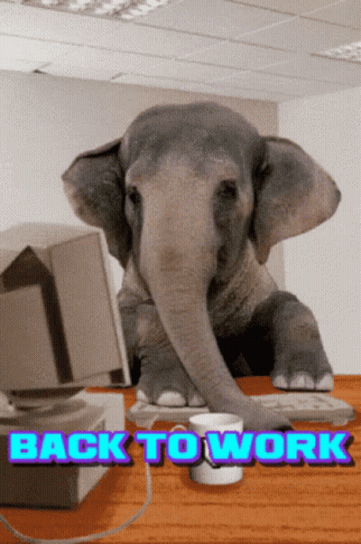 Elephant At Desk Back To Work GIF