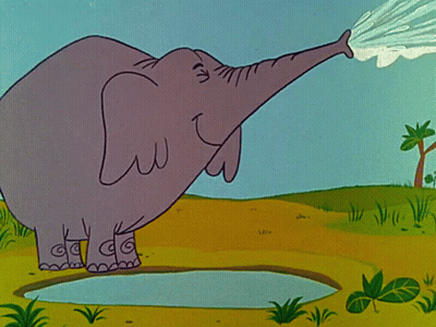 Elephant Drinking Water From Pond GIF