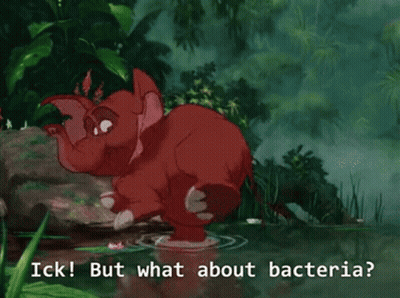 Elephant In Water With Bacteria Words GIF