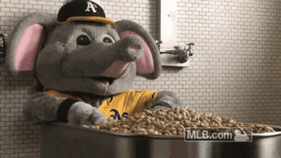 Elephant Mascot Sitting In Bowl Of Peanuts MLB.com GIF