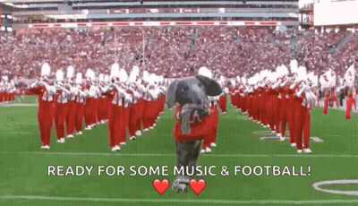 Elephant Mascot With Marching Band Ready For Some Music And Football GIF