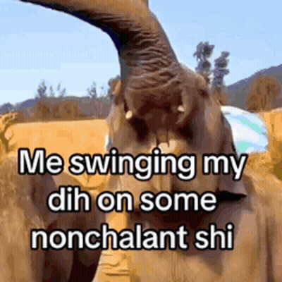 Elephant Me Swinging My DH On Some Nonchalant Shi GIF