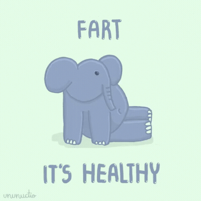 Elephant Saying Fart It's Healthy GIF