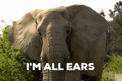 Elephant Saying I'm All Ears GIF