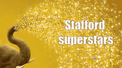 Elephant Stafford Superstars GIF