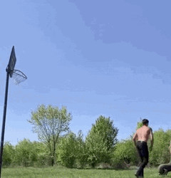 Elephant Throwing Man Basketball GIF