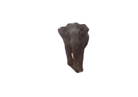 Elephant Walking Sticker