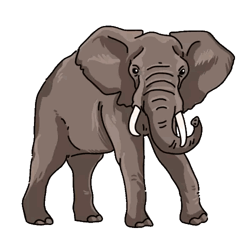 Elephant With Extended Trunk Sticker