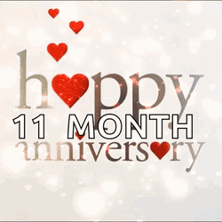 Eleven Month Glitter Happy Anniversary  GIF