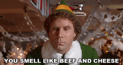 Elf Meme You Smell Like Beef And Cheese GIF