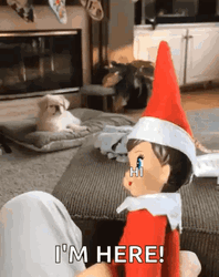 Elf On The Shelf Moving Creepy I'm Here GIF