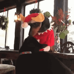 Elf On The Shelf Moving Cute Puppy GIF
