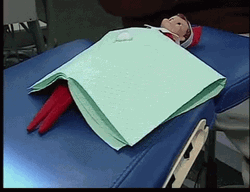 Elf On The Shelf Moving Dentist Visit GIF