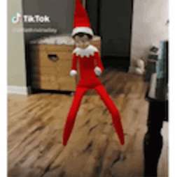 Elf On The Shelf Moving TikTok Dance GIF