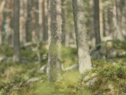 Elf Santa Carrying Baskets GIF