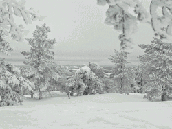 Elf Santa Carrying Food GIF