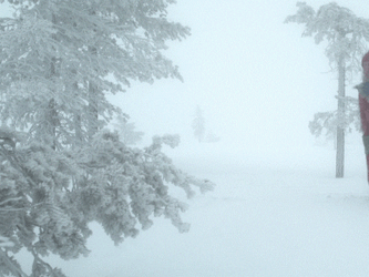 Elf Santa Walking Around The Snow GIF