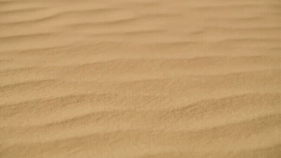 Eli Rose Written In Red Letters On Sandy Surface GIF