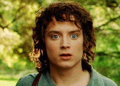 Elijah Wood Interested GIF