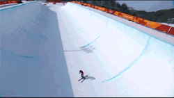 Elizabeth Swaney In Olympic Skiing GIF