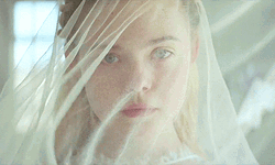 Elle Fanning White Veil Young Ones GIF