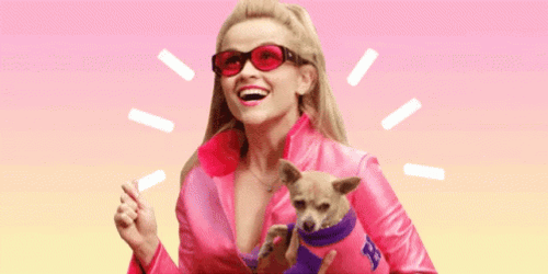Elle Woods With Her Doggo GIF