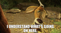 Elliot Understand What's Going On There GIF