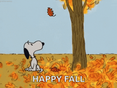 Elmer Fudd Holding Shotgun In Field GIF