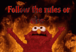 Elmo Burning Follow The Rules Meme  GIF