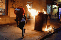 Elmo Fire Riot Street Protest GIF