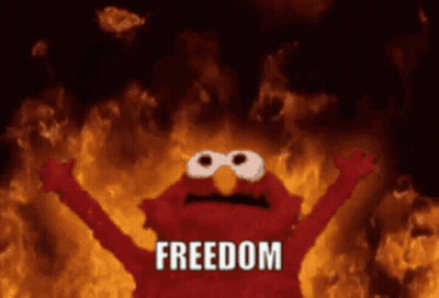 Elmo From Sesame Street Saying Freedom GIF