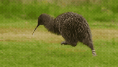 Elmo Holding Two Kiwi Fruits GIF
