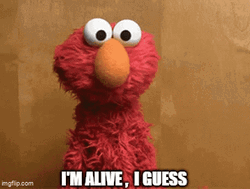 Elmo Im Alive I'm Guess GIF