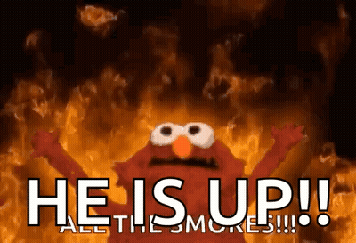 Elmo Is Surrounded By Flames And Says He Is Up All The Smores !!! GIF