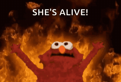 Elmo Surrounded By Flames She's Alive GIF