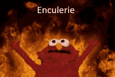 Elmo Surrounded By Flames With Enculerie GIF