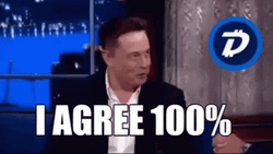 Elon Musk 100  Percent Agree GIF