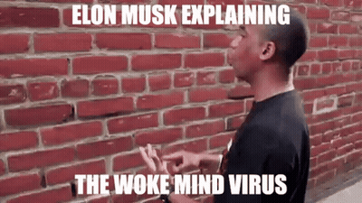 Elon Musk Explaining Woke Mind Virus GIF