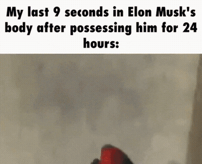 Elon Musk Last 9 Seconds Meme GIF