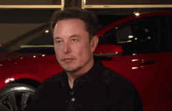 Elon Musk Playful Smile Shoulder Shrug GIF