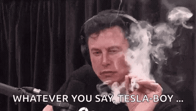 Elon Musk Smoking Cigarette Saying Whatever You Say Tesla Boy GIF