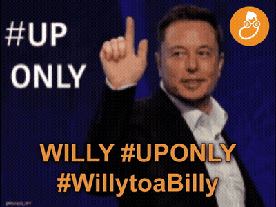 Elon Musk Willy #Uponly #Willytoabilly GIF