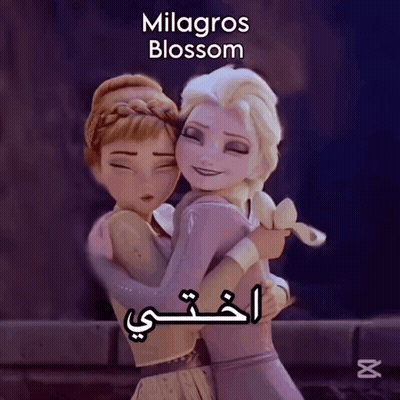 Elsa And Anna Hugging Milagros Blossom GIF